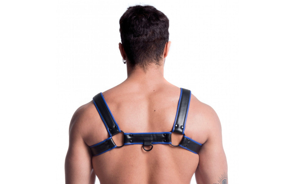 Vegan Bulldog Harness Black and Blue - Just for you desires