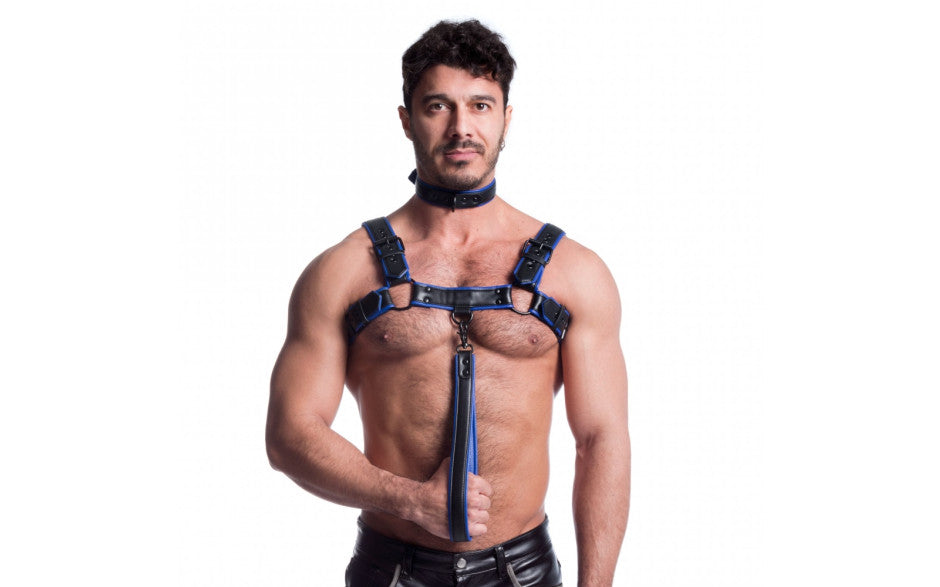 Vegan Bulldog Harness Black and Blue - Just for you desires