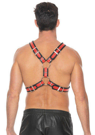 270084 - Z Series Scottish Harness - Just for you desires