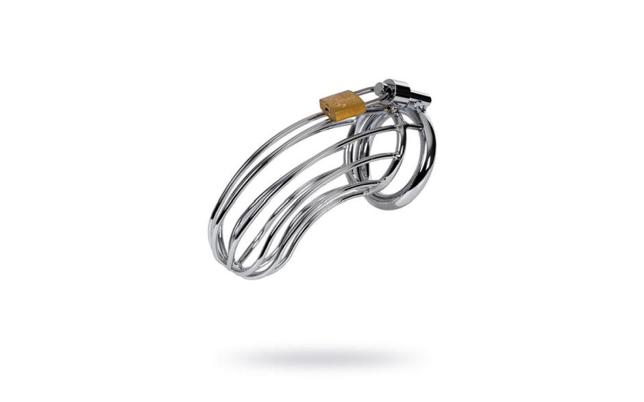 Silver Metal Birdcage Cock Cage - Just for you desires